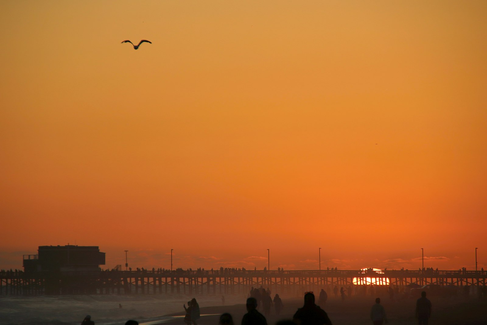 Crowd silhouetted against a deep orange sunset over a Gulf Coast pier